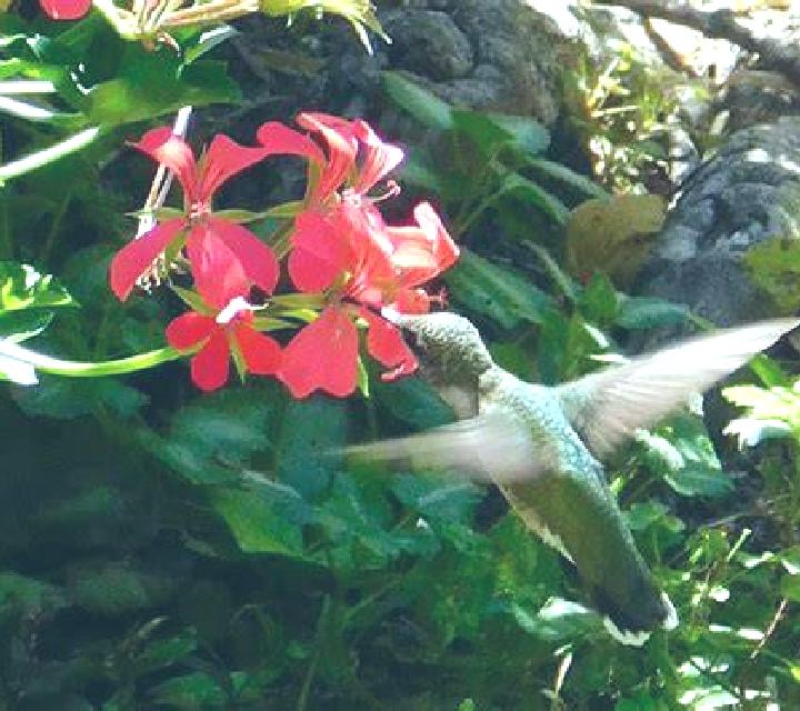Cielo 3 Fuente Palmera escort