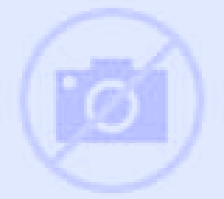 Claudia 3 Nolay escort