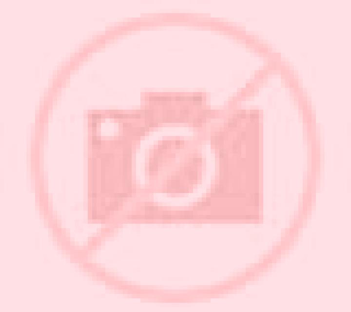 Claudia Norena escort