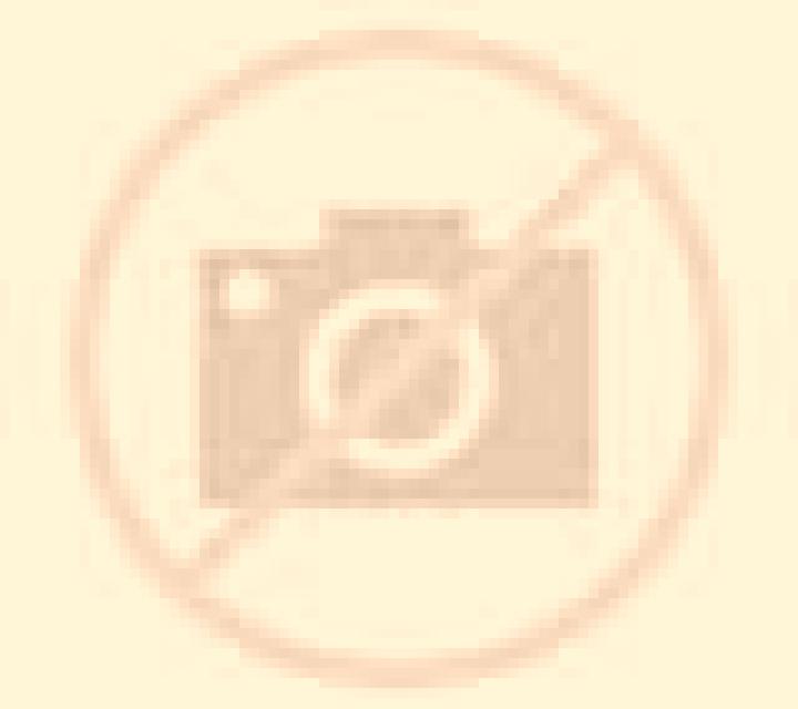 Claudia Villarrin de Campos escort