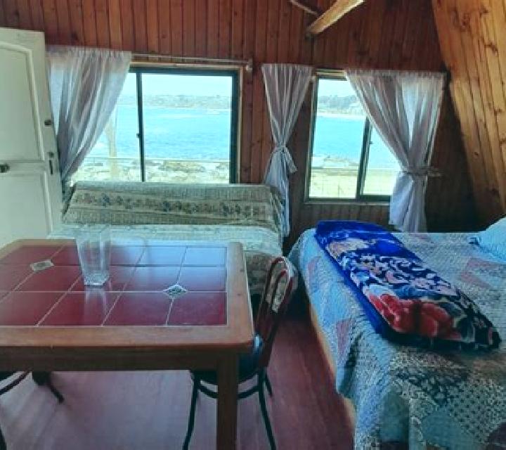 Claudia Zumarraga escort