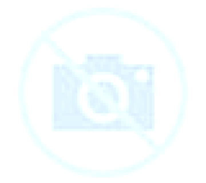 Cristina 2 Reina escort