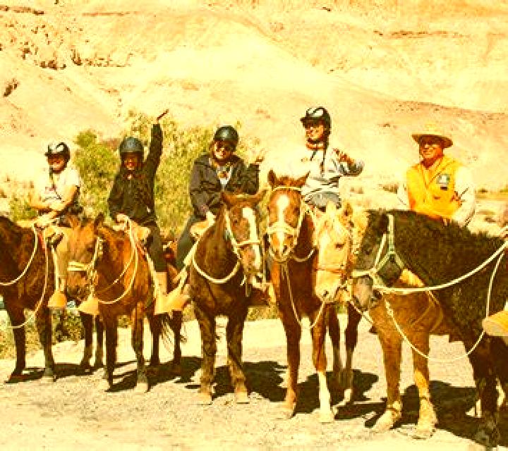 Diana 2 El Provencio escort
