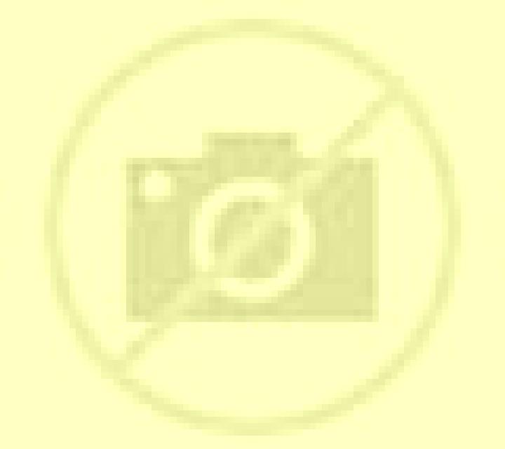 Diana 2 Villabaruz de Campos escort