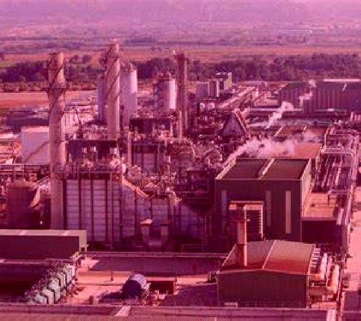 Diana 3 Salvatierra de Esca escort