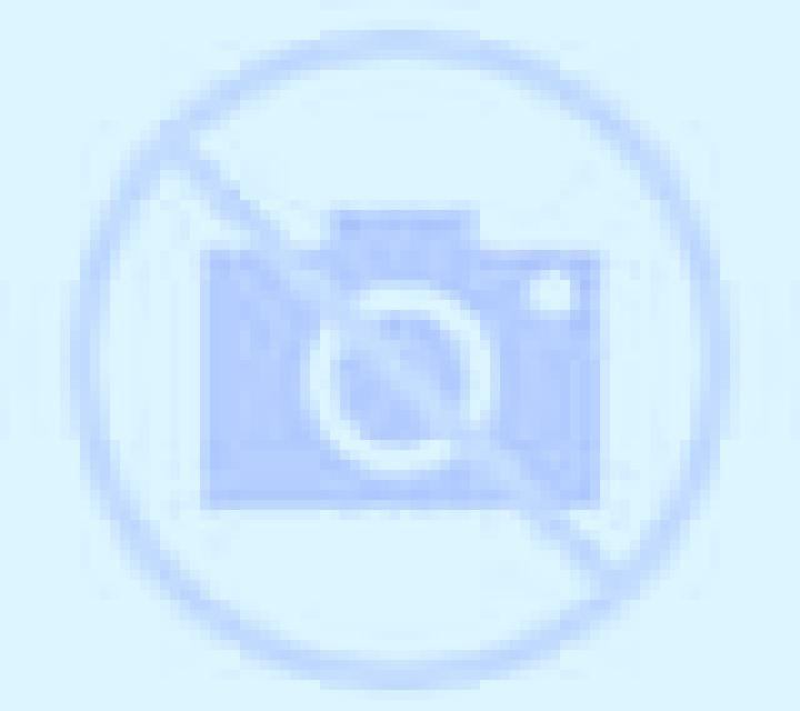 Diana Ciriza escort