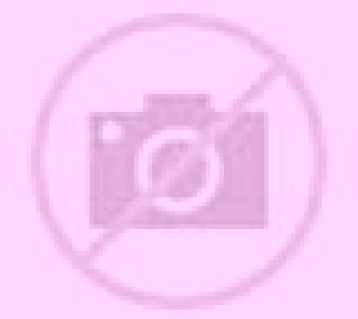 Elena Rotova escort
