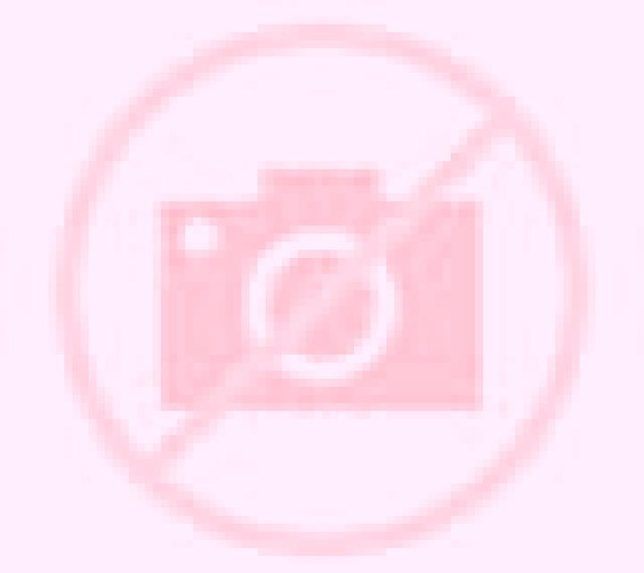Emilia Olvera escort