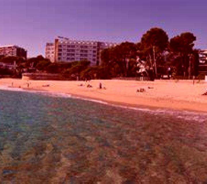 Estrella 2 Sant Pol de Mar escort