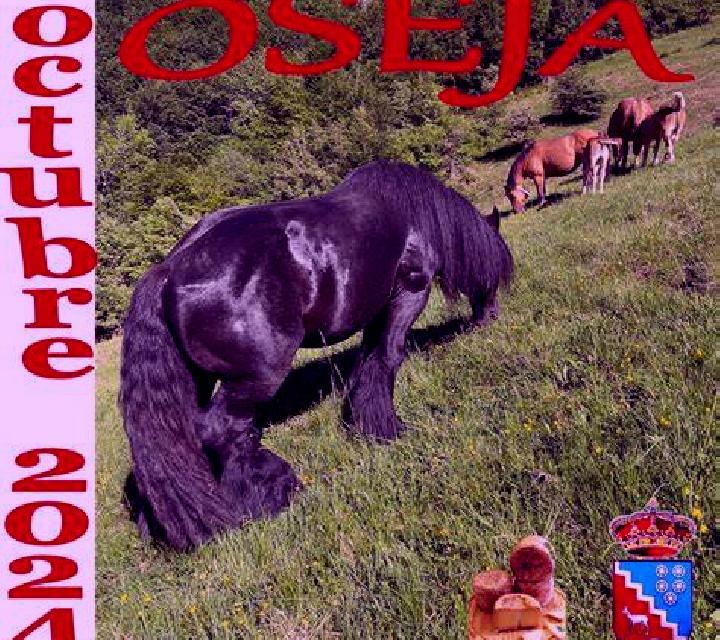 Estrella 3 Castrojimeno escort