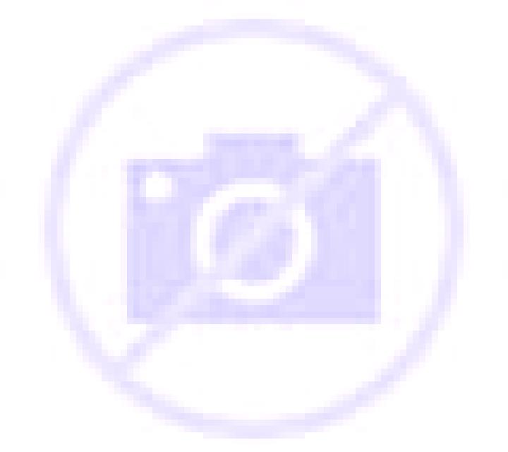 Florencia Salcedillo escort