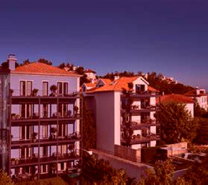 Gabriela 3 Lerga escort