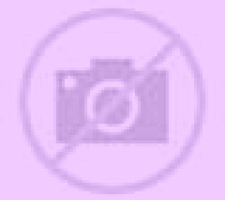 Gabriela Almonacid de Zorita escort