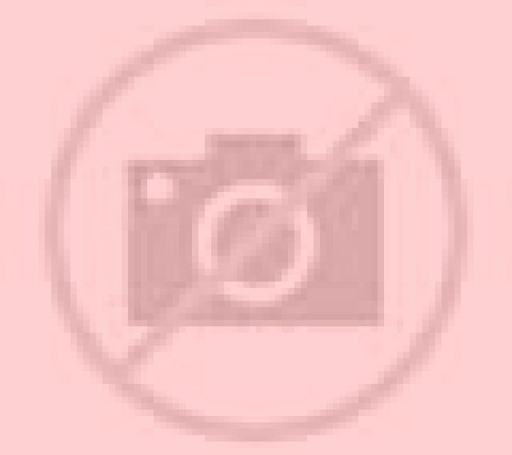 Gabriela Fuentelapena escort