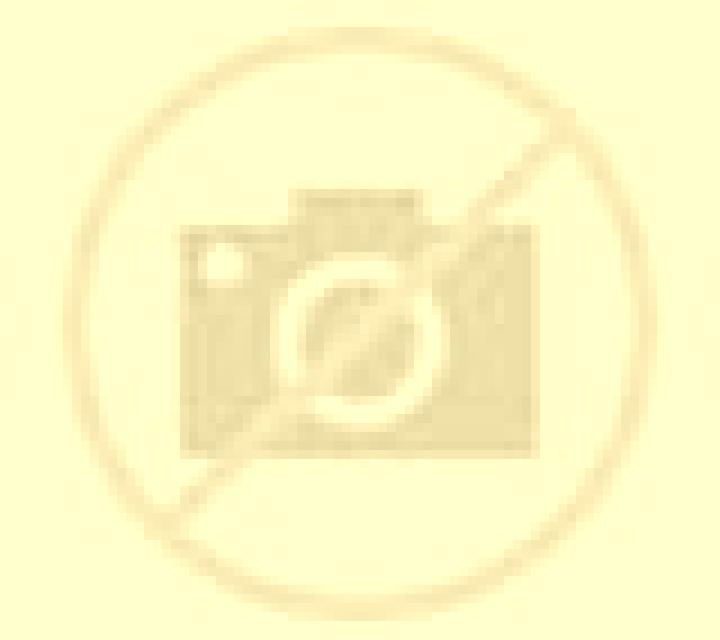 Irene Beizama escort