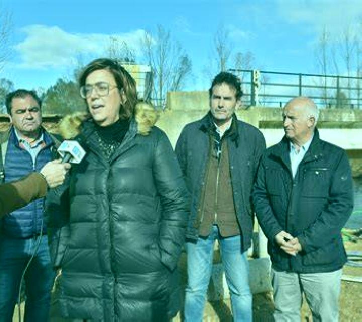 Irene Villaeles de Valdavia escort