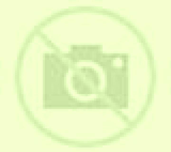 Isabela 3 Tocina escort