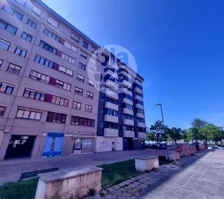 Isabela Adra escort