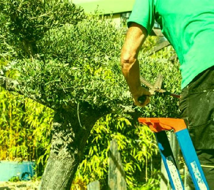 Isabela El Paso escort