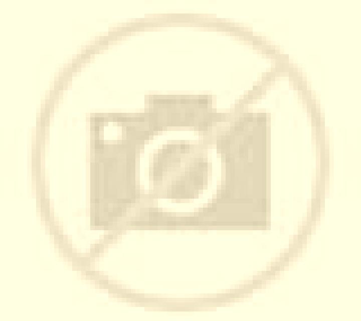 Isabela Valencia de las Torres escort