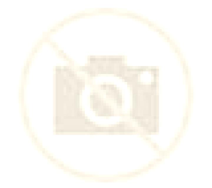 Jade 2 Santa Elena escort