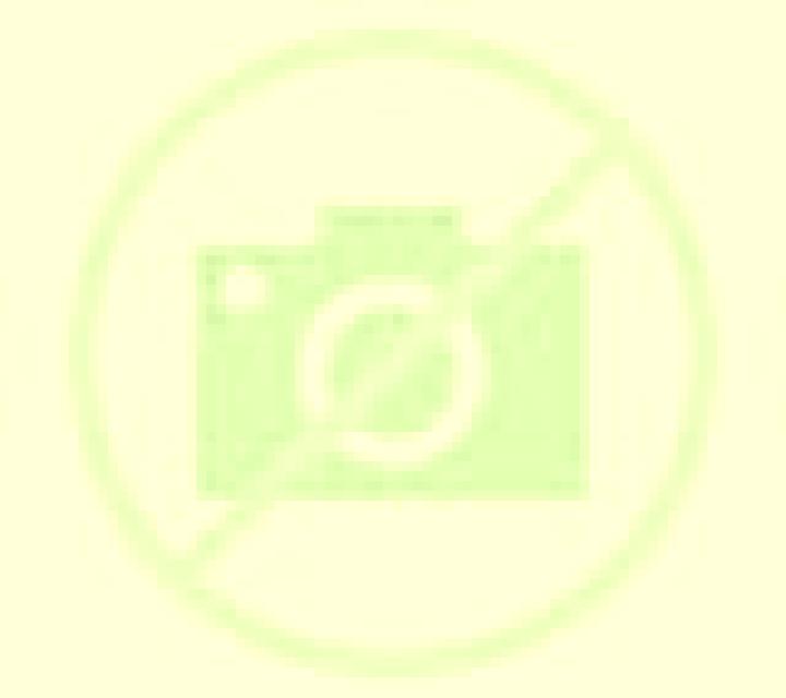 Jade 3 Goni escort