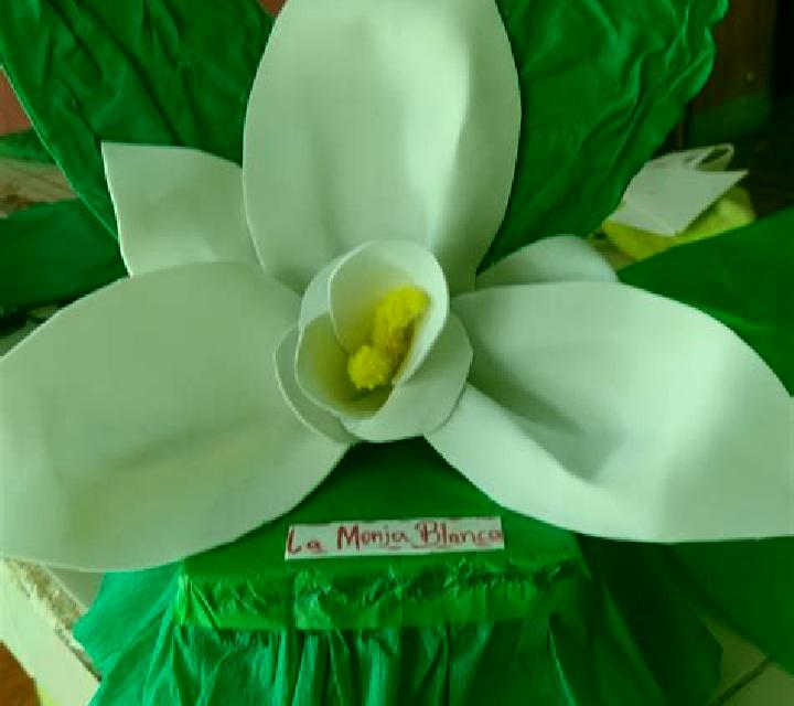 Jade 3 Monreal escort