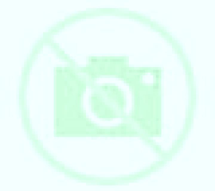 Jade Cisterniga escort