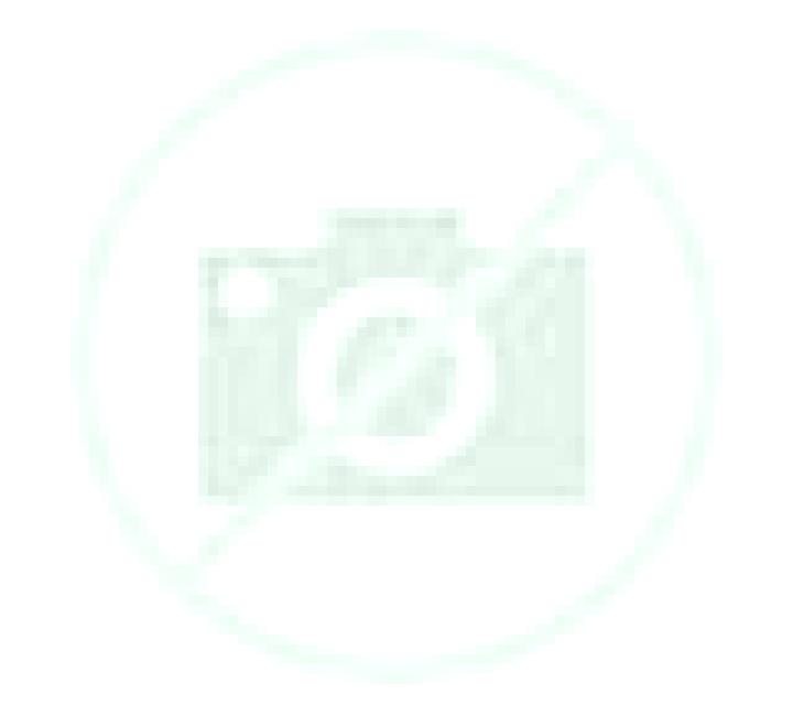 Josefina 2 Briviesca escort
