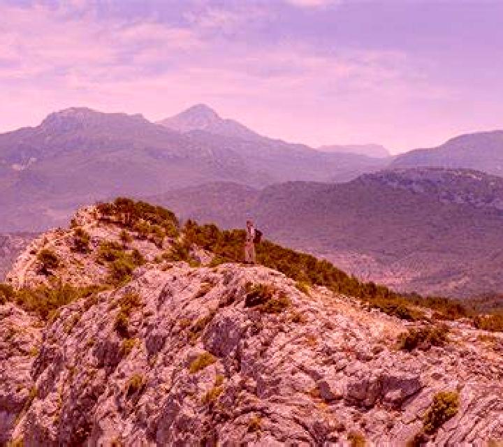 Josefina 2 Tortosa escort