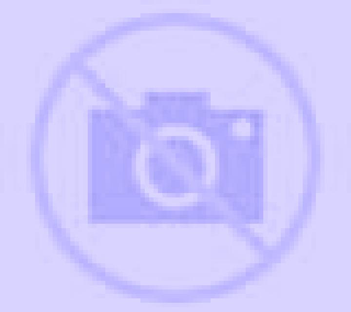 Julia 2 Brenes escort