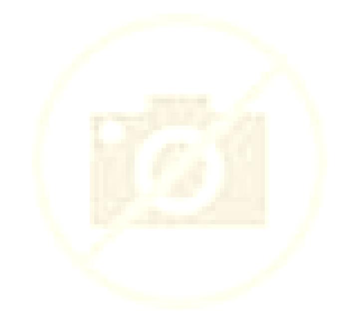 Julia 3 Chodes escort