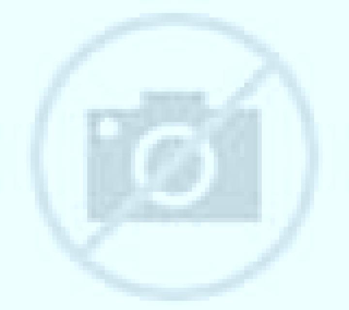 Katia Santa Maria de los Llanos escort