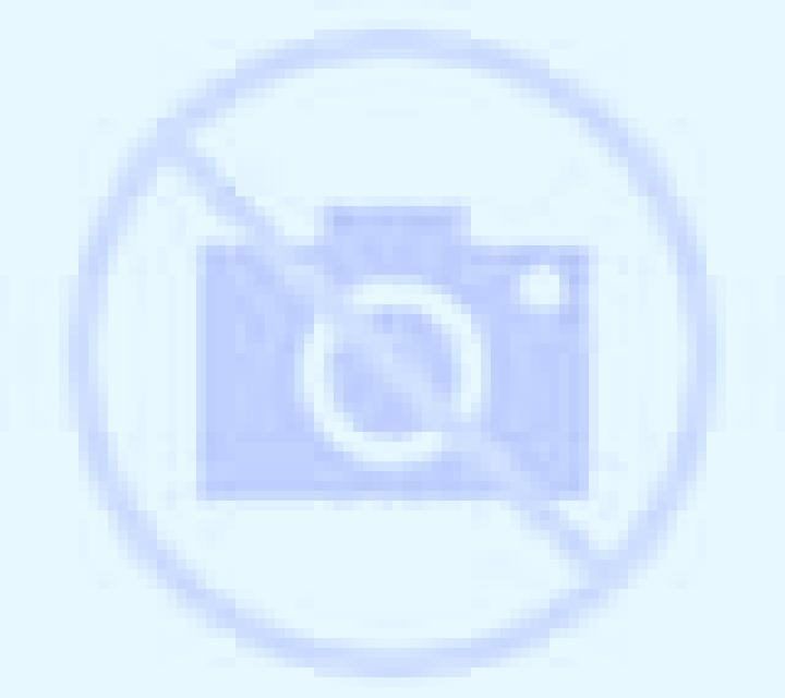 Laia 2 Fuentesoto escort