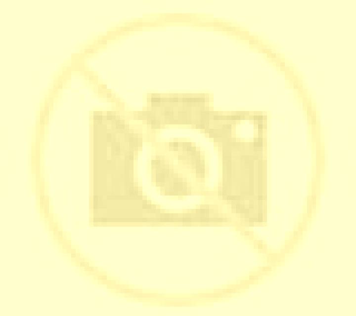 Lola Forcarei escort