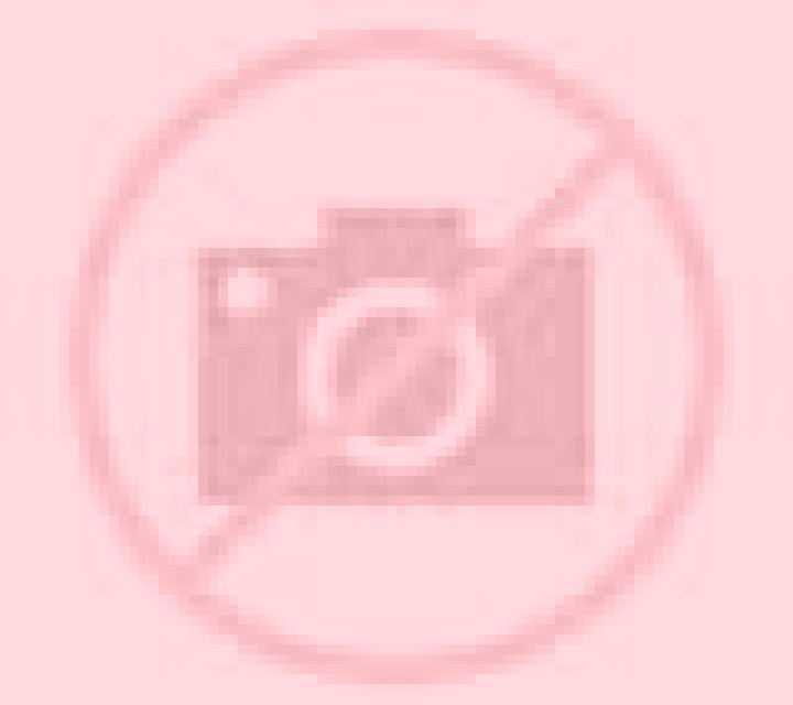 Lola Macastre escort