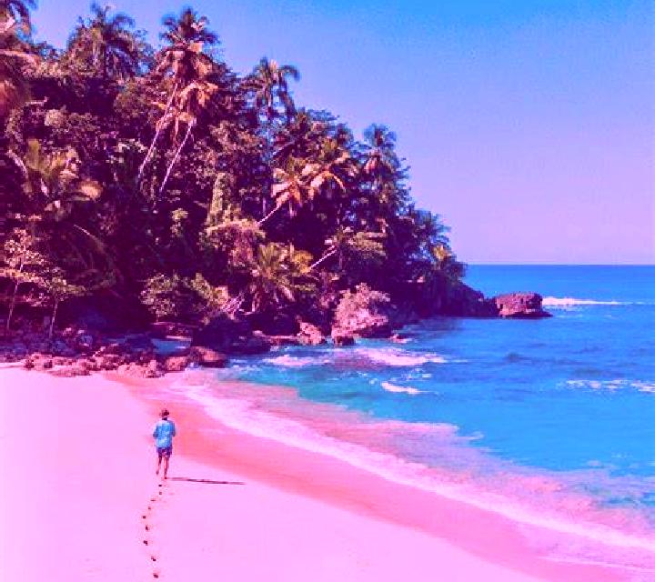 Luna 2 Pantoja escort