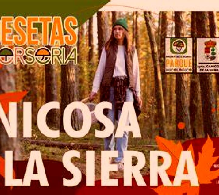 Luna 3 Algar de Mesa escort