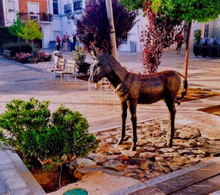 Luna 3 El Campello escort