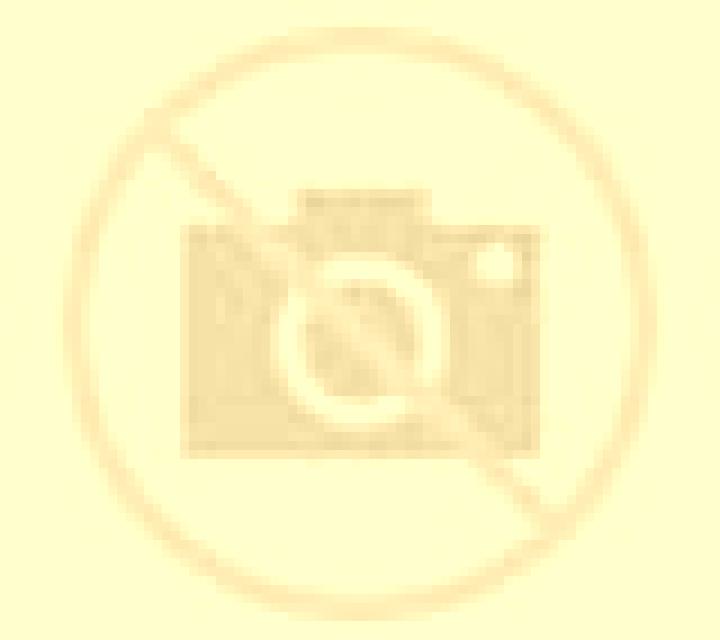 Malena 3 Barlovento escort