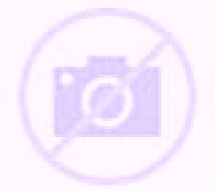 Mariana Bronchales escort