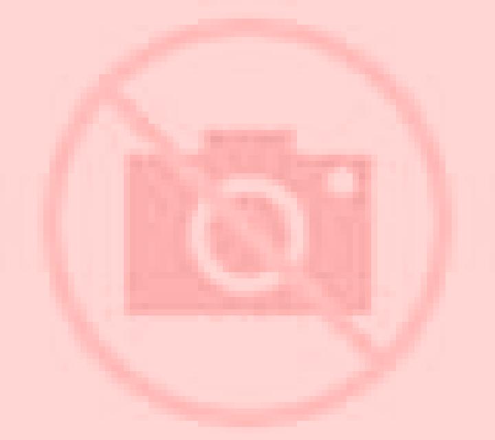 Mariana Santa Cruz escort