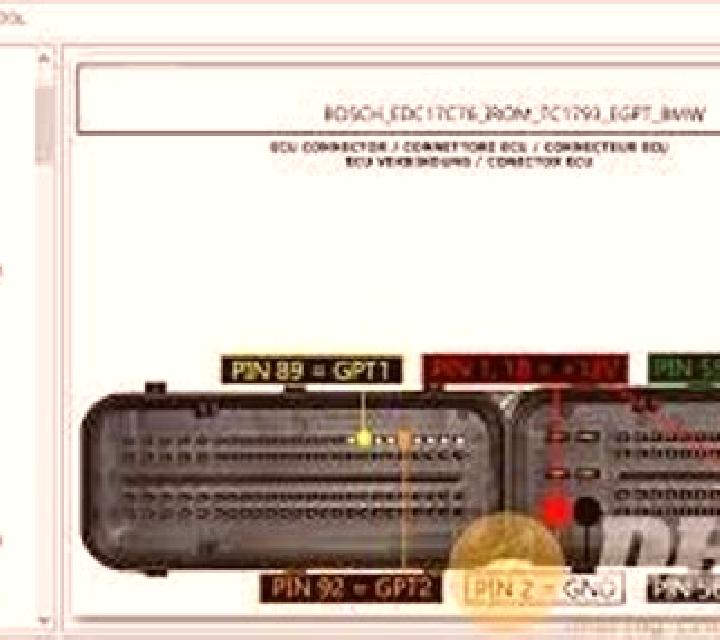 Marta 3 Pujerra escort