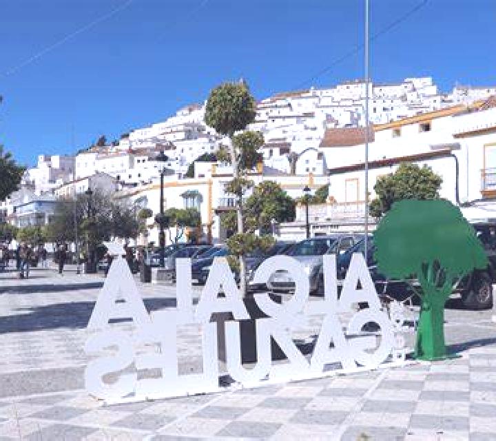 Marta 3 Ulea escort
