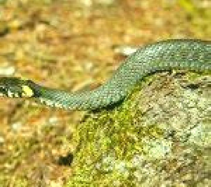 Miriam 3 Valdemanco del Esteras escort