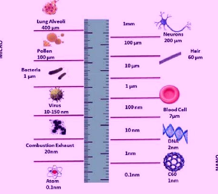 Nadia 2 Xirivella escort