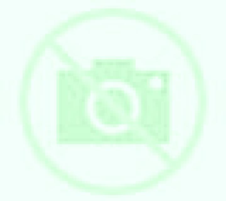 Noa 2 Cerdido escort