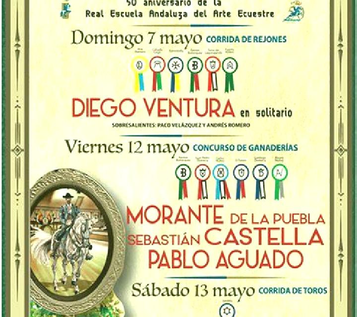 Noa 3 Hornillos de Cameros escort