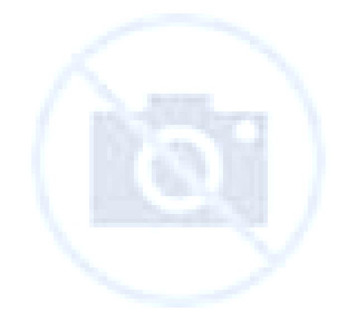 Noa 3 Junciana escort