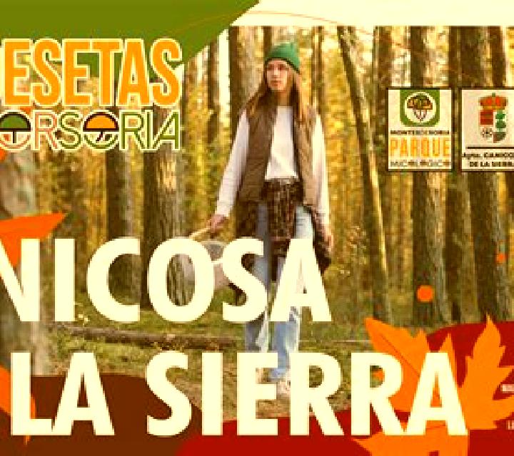 Noa 3 Torrellas escort